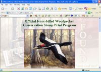 Ivory-billed Woodpecker Conservation Stamp Prints Program