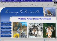 Wildlife artist Danney O'Driscoll has super wildlife art!