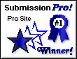 Submission Pro #1 Pro Site Winner!