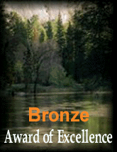 Bronze Award