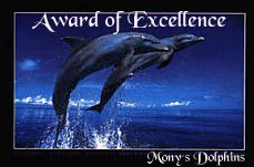Mony's Dolphins Award of Excellence