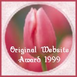 The Original Website Award 1999!