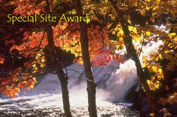 Special Site Award